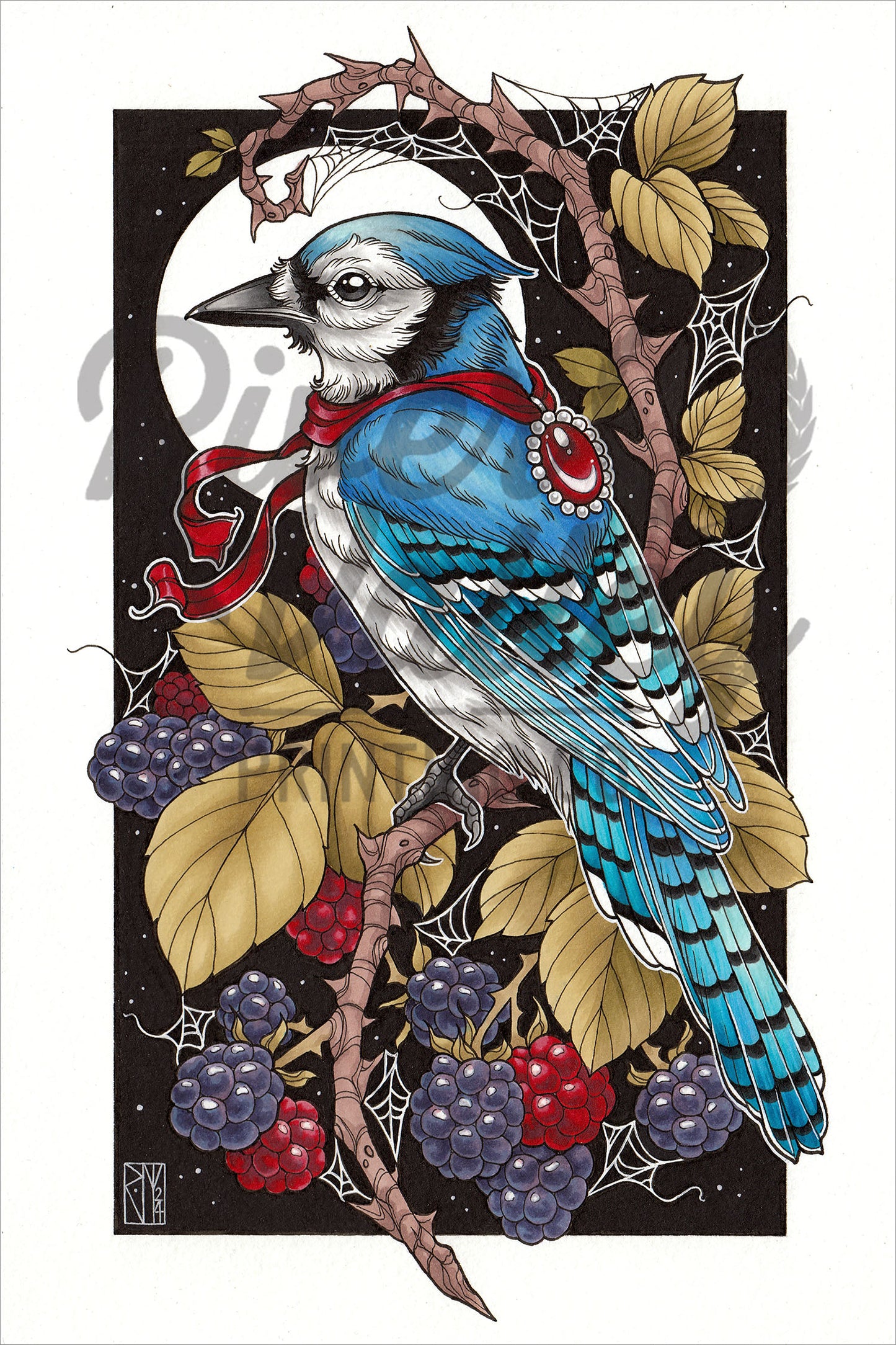 Blue Jay