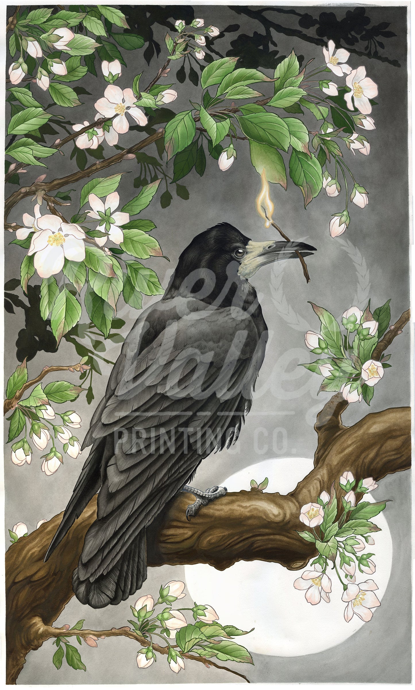 Omen's of Spring #1