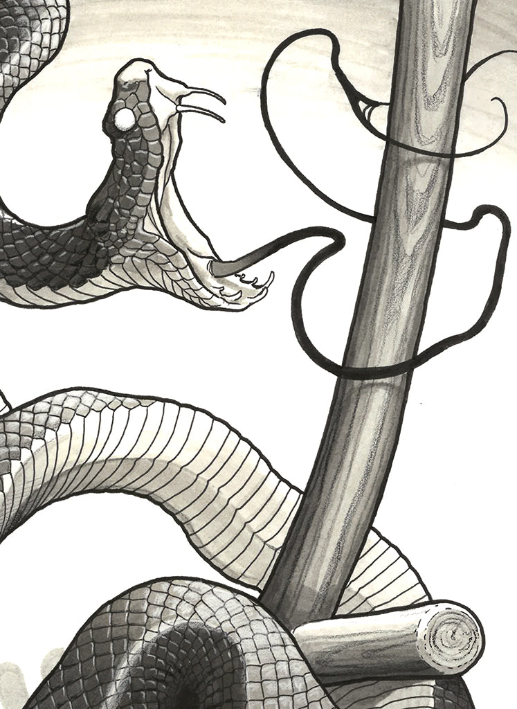 Snake