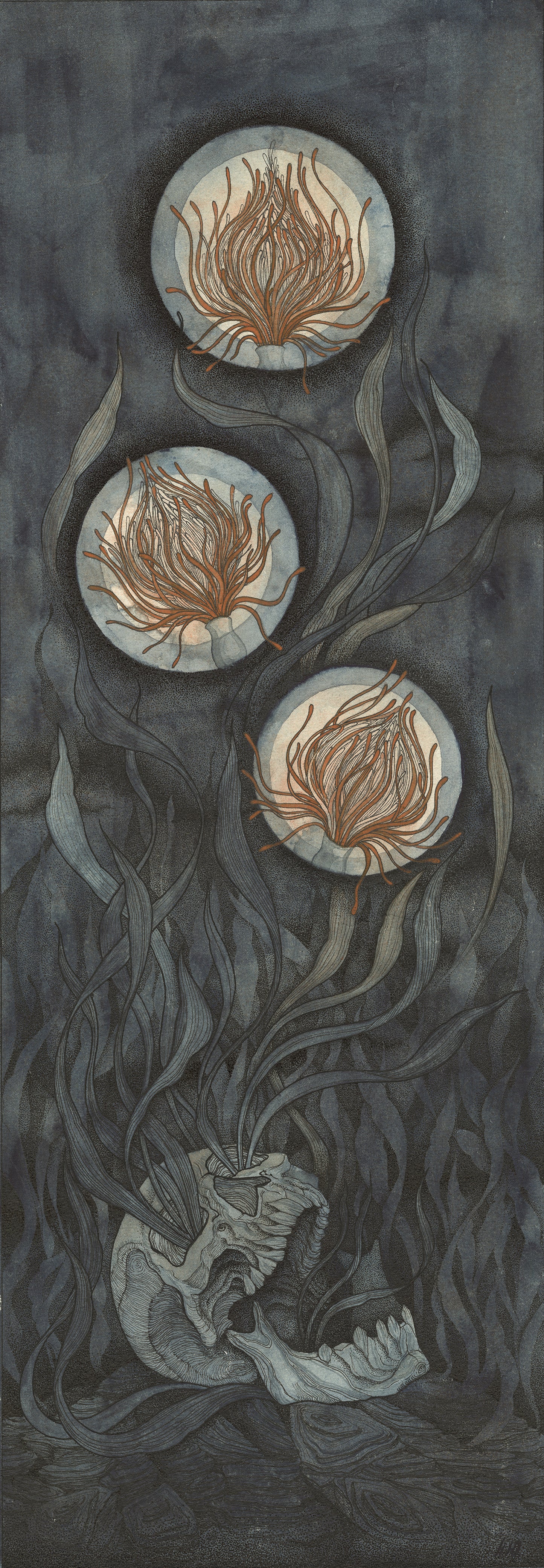 Продолжение