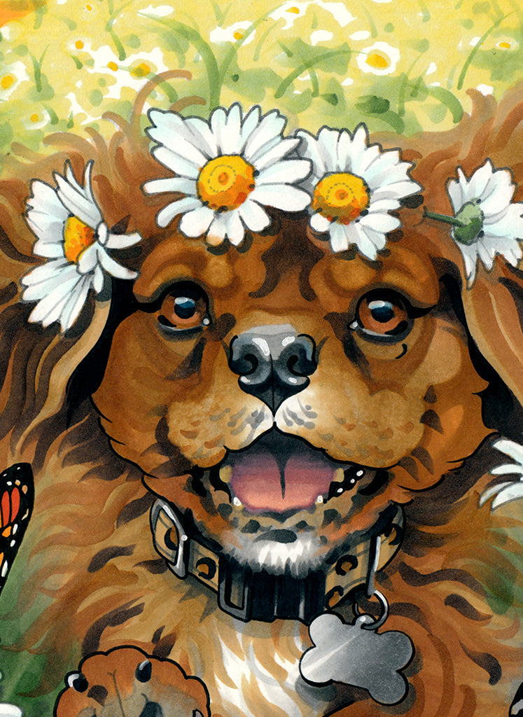 Dog in Field