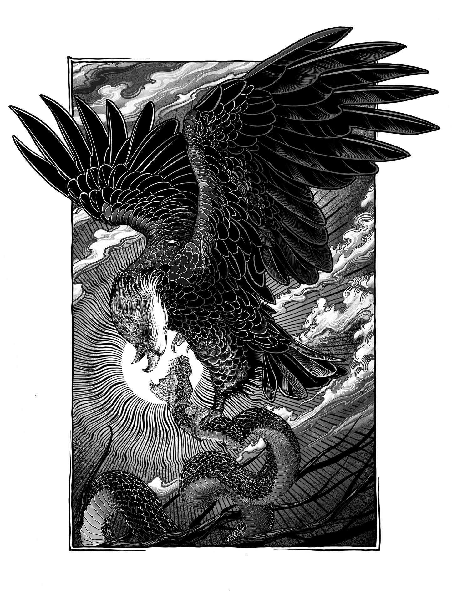 Aguila