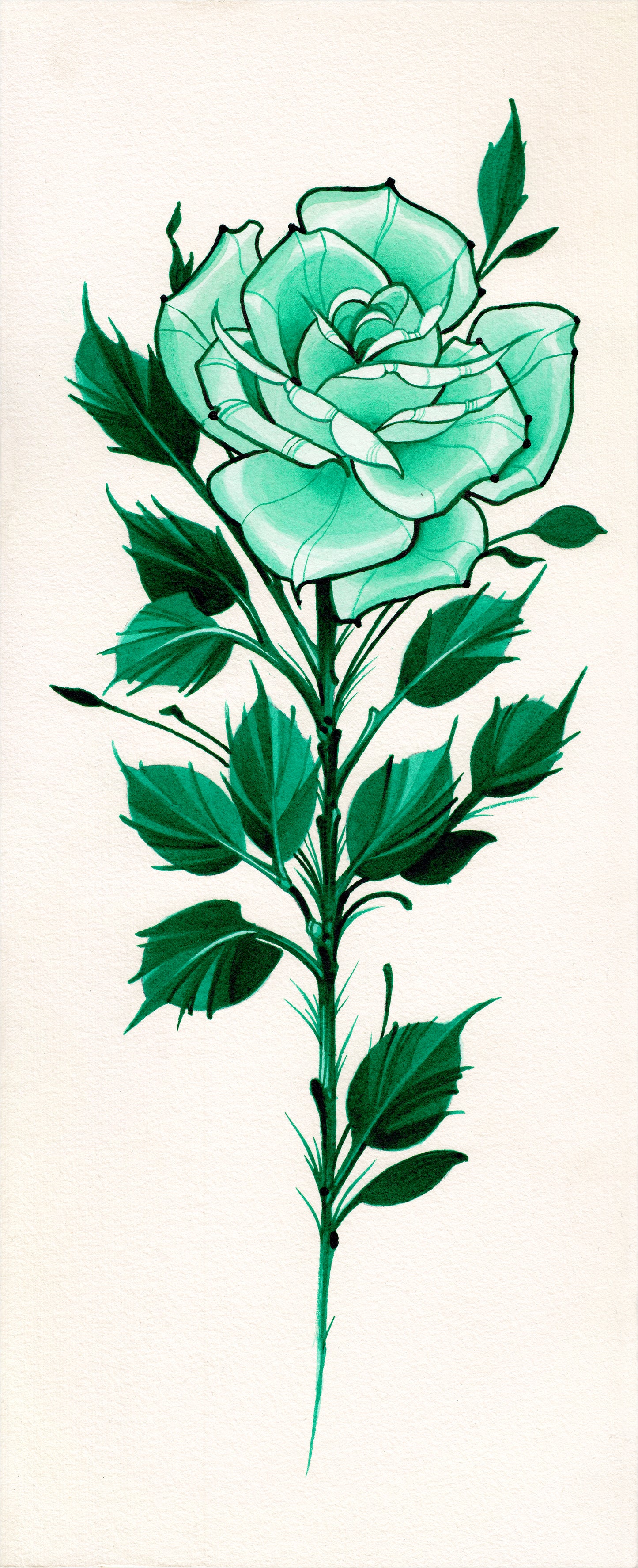 Green Rose