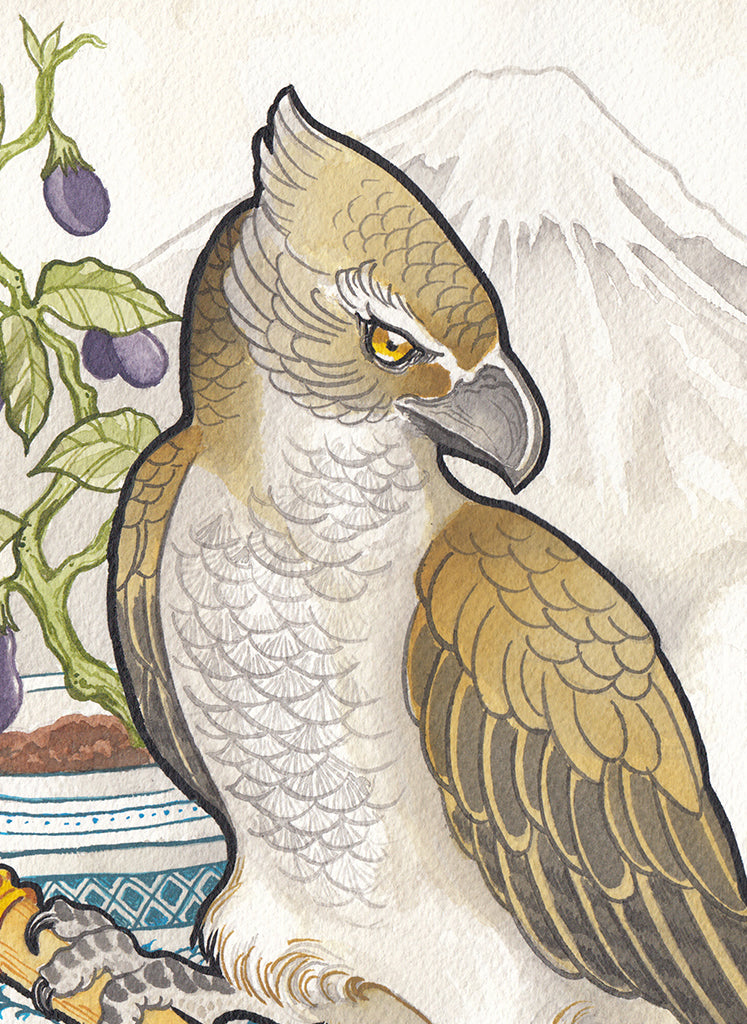 Hawk