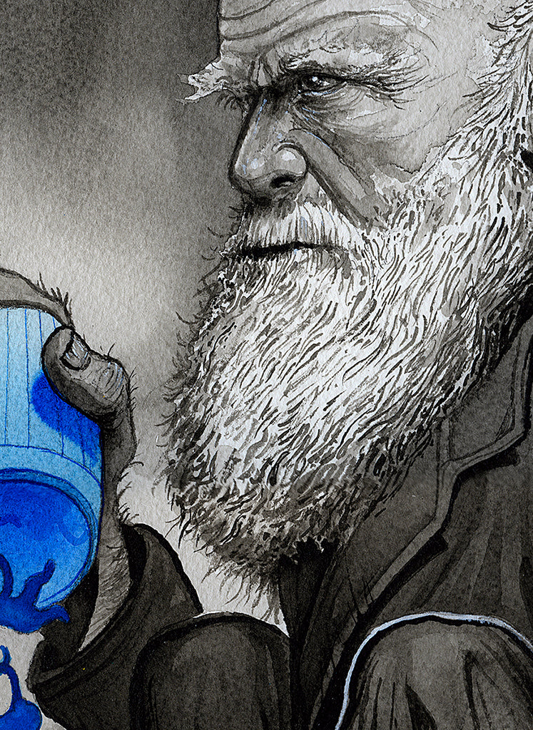 Darwin