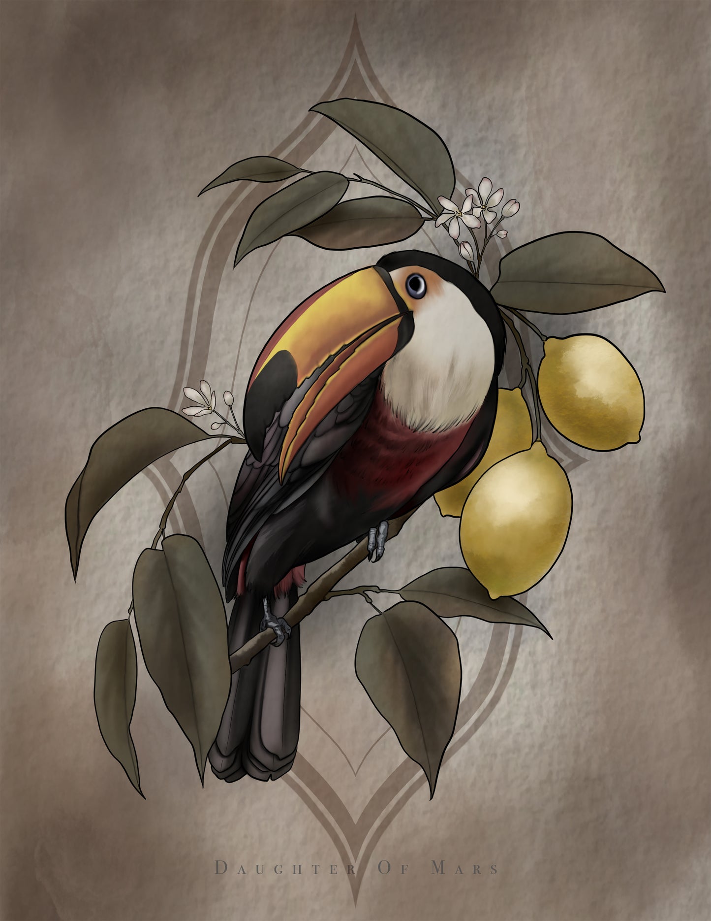 Toucan