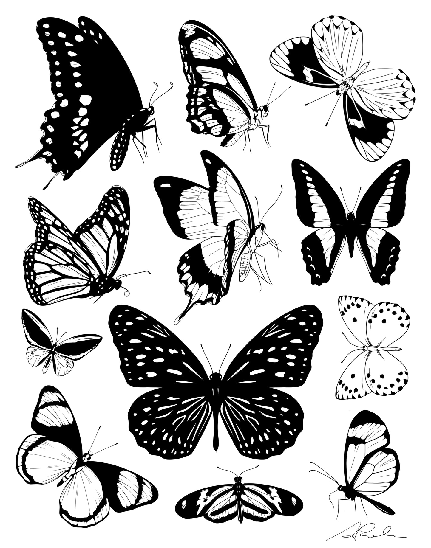 Butterflies