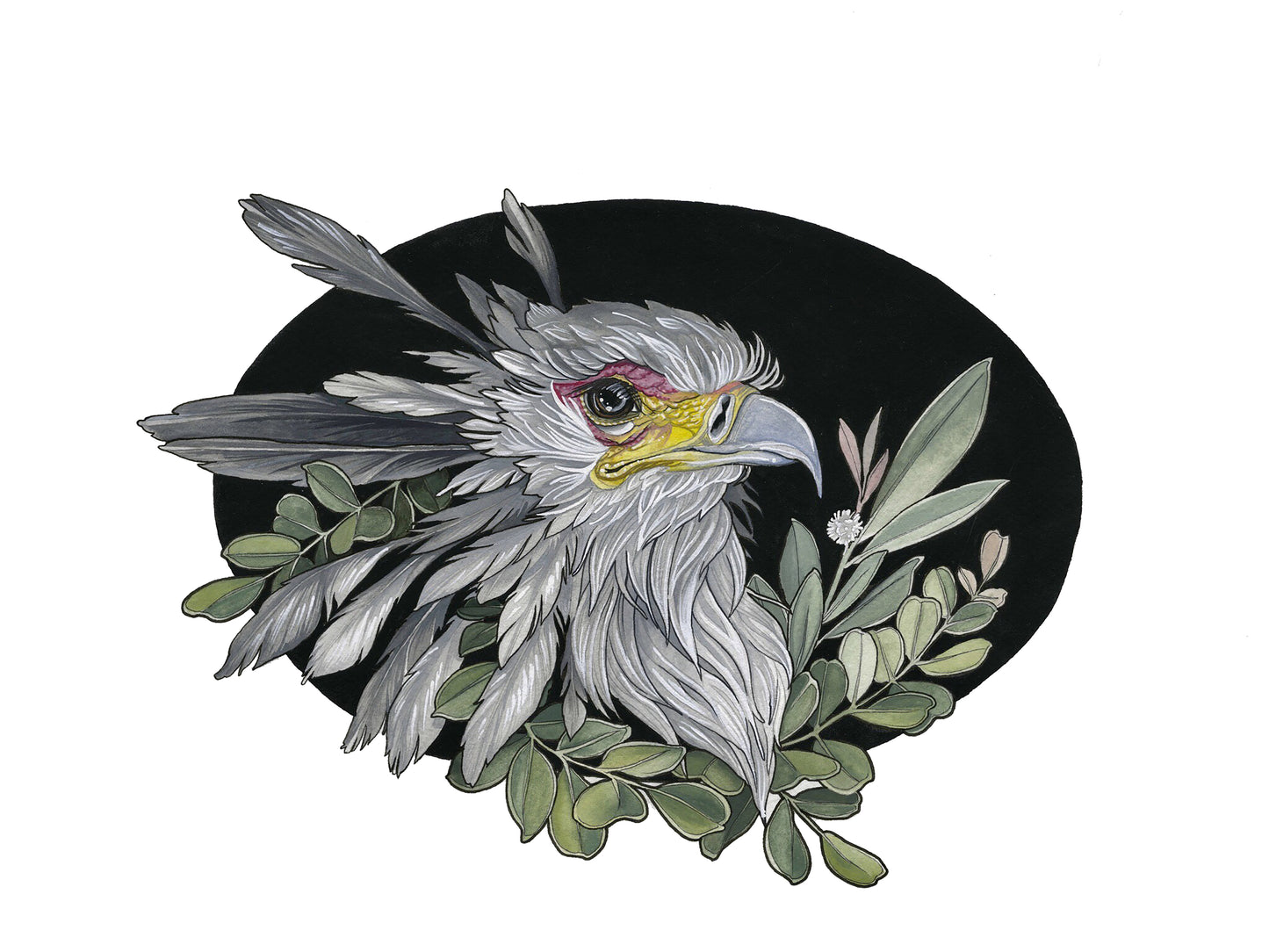 Secretary Bird
