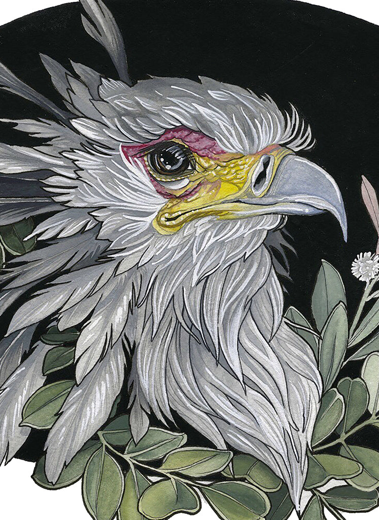 Secretary Bird
