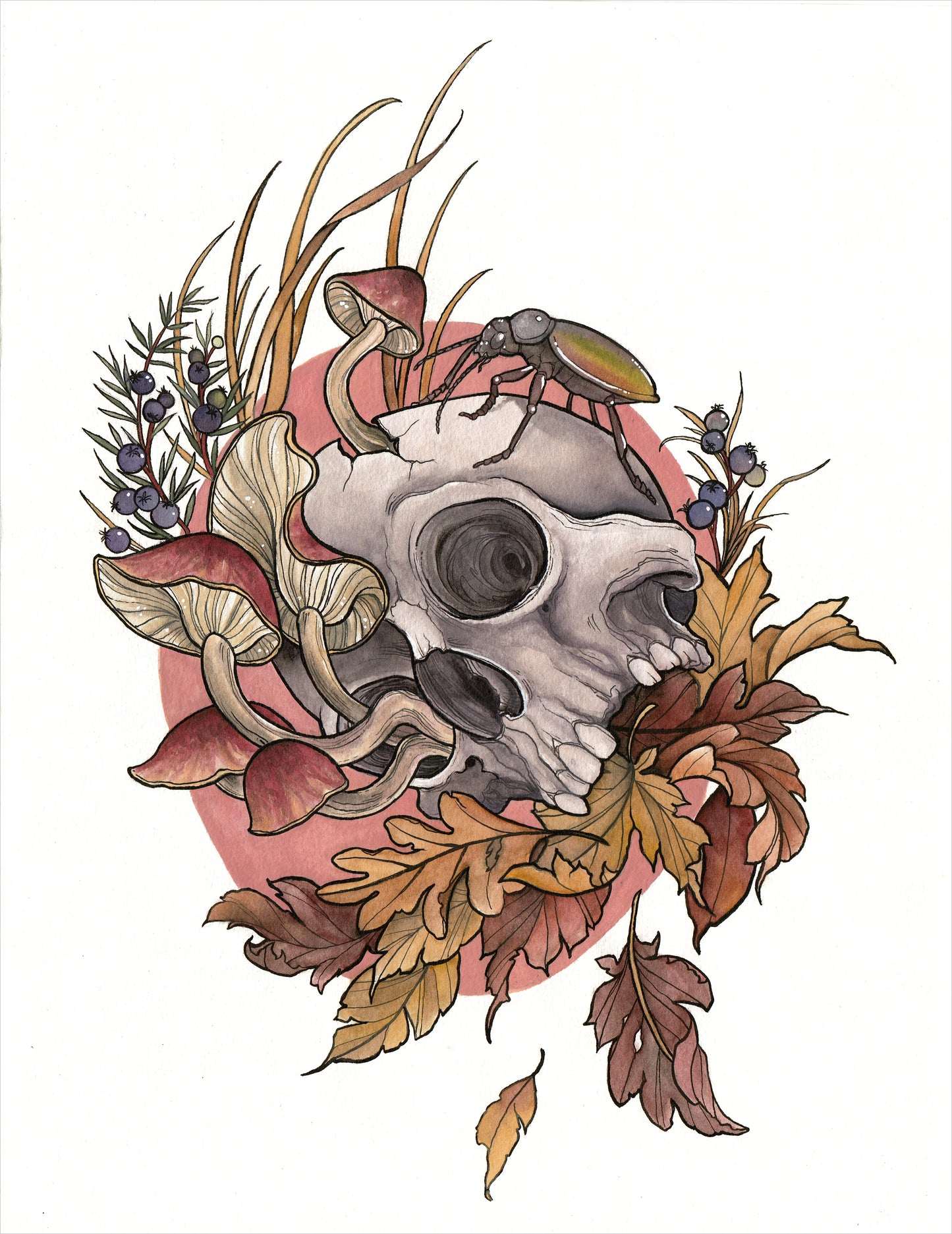 Mushroom Skull