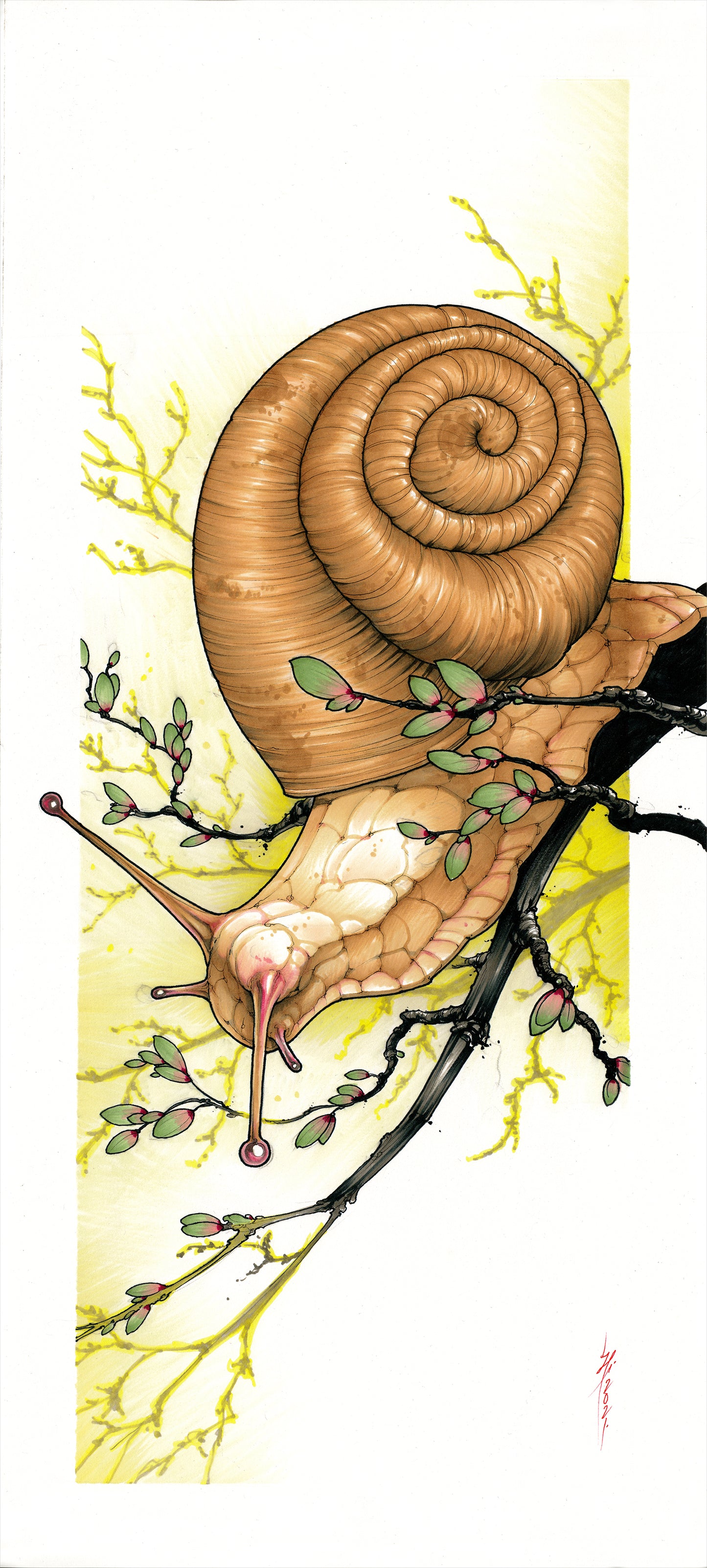 Snail I