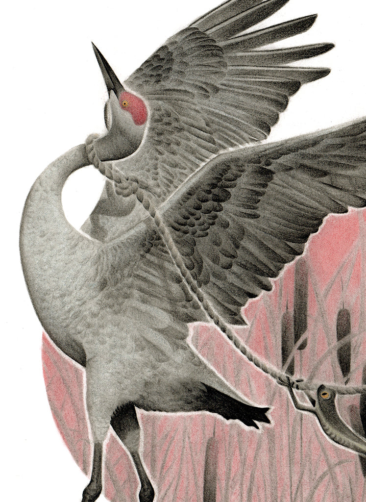 Crane