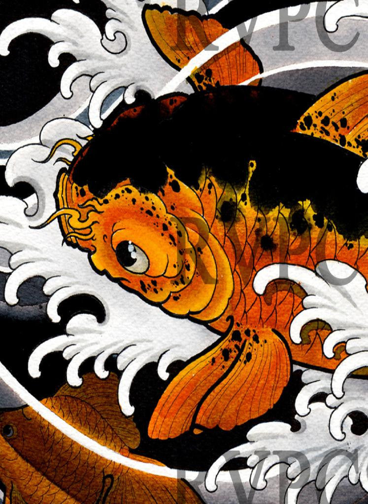 Koi