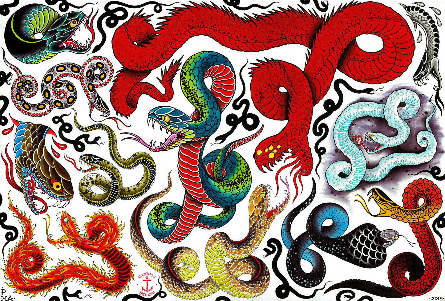 Snake Flash Sheet