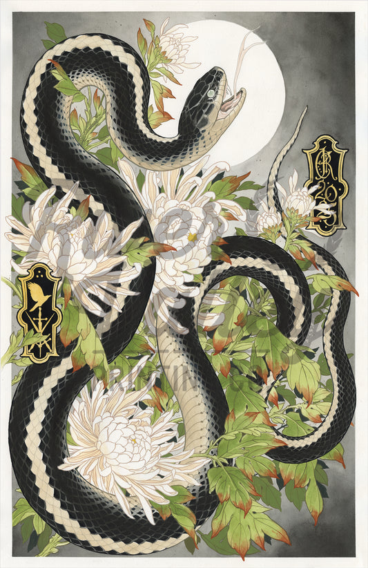 Black Snake
