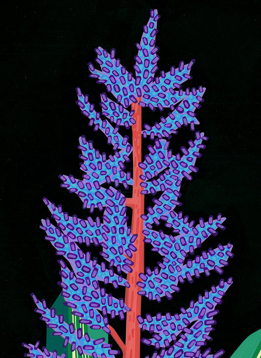 Bromulai II