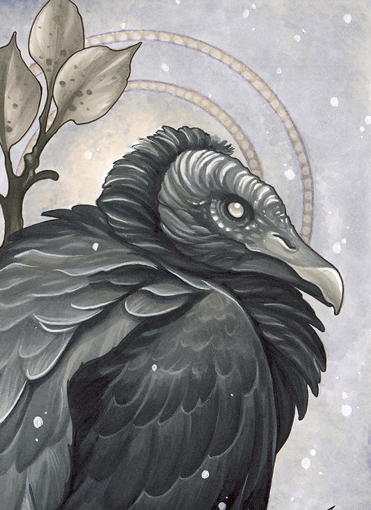 Vulture