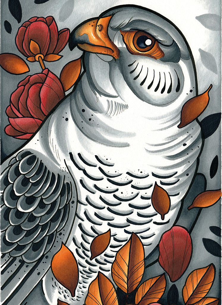 Bird