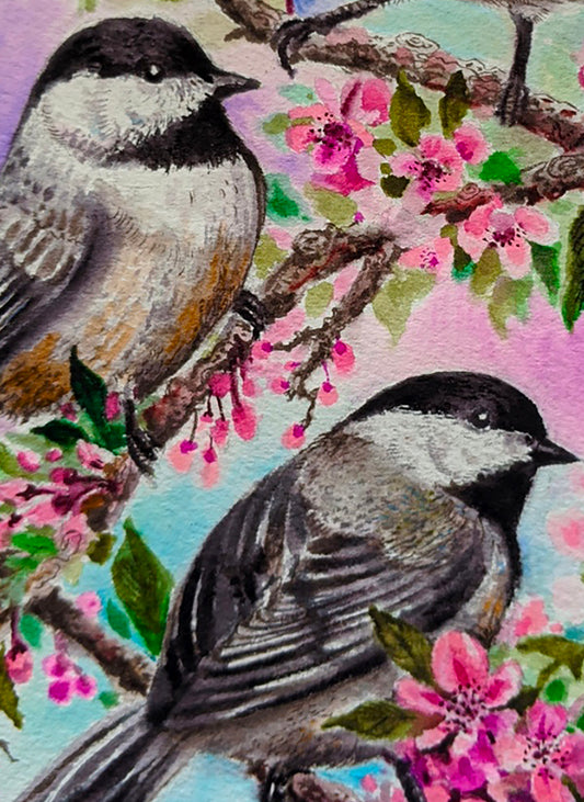 Birds