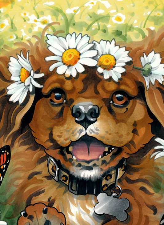 Dog in Field