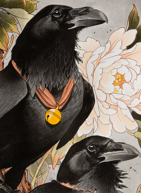 Ravens