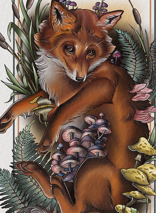 Fox