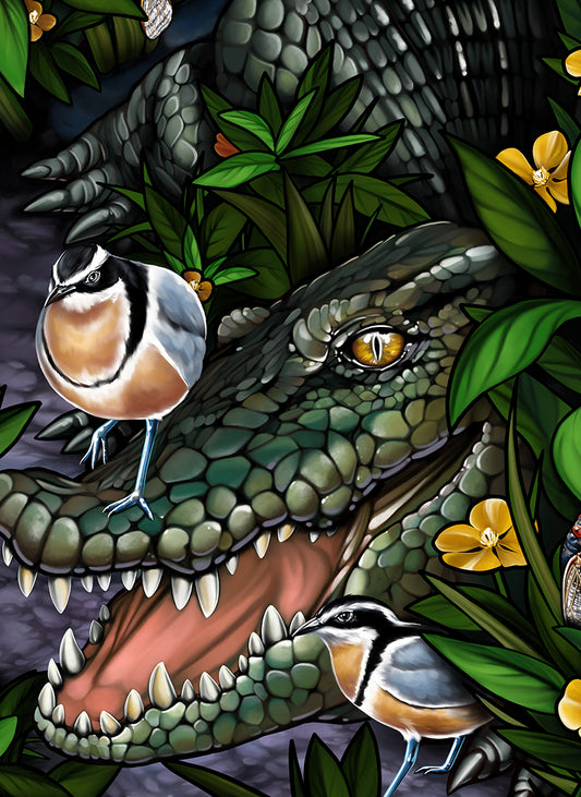 Crocodile