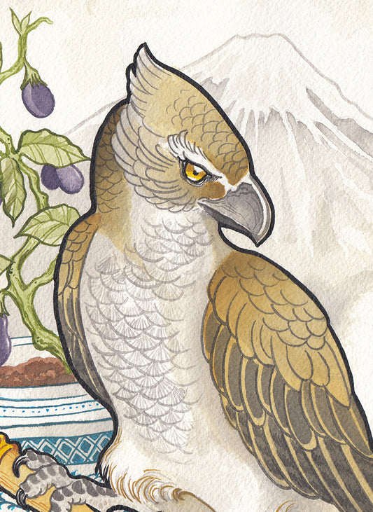 Hawk