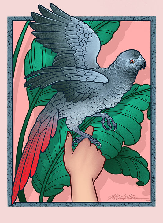 Miles Bird 2019