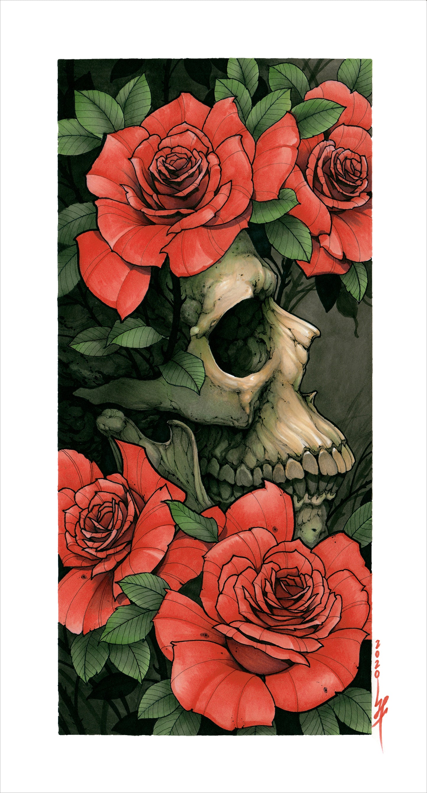 Skull and Roses