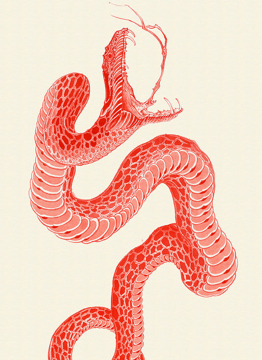 Snake