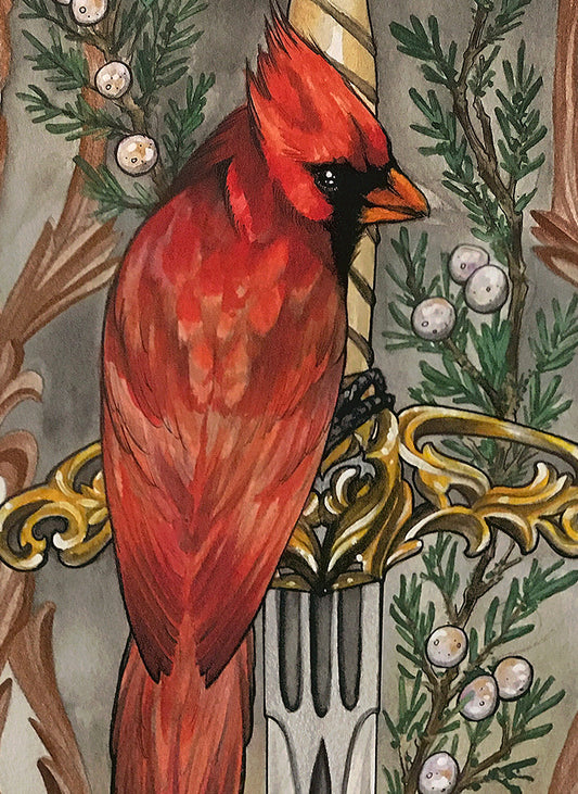Bird