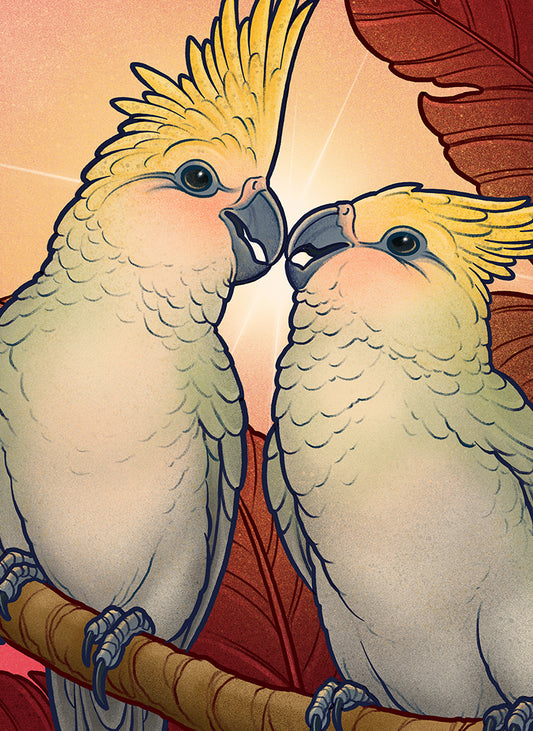 Love Birds