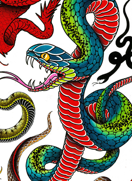 Snake Flash Sheet
