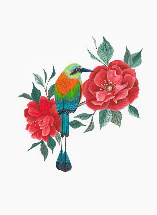 Turquoise-Browed Motmot